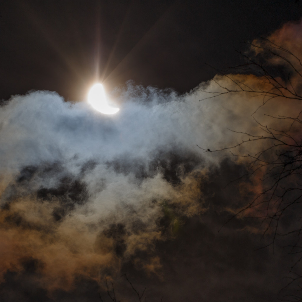 Sigma_180mm_makro_bestof_018